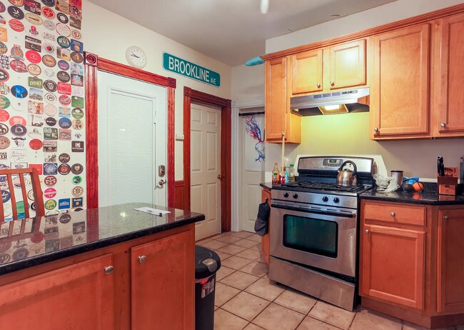 70 Calumet St unit 1, Roxbury Crossing, MA 02120 - photo 4