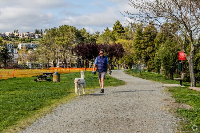 Larkspur bike path offers relaxing afternoon walks to residents in Madrone Canyon.