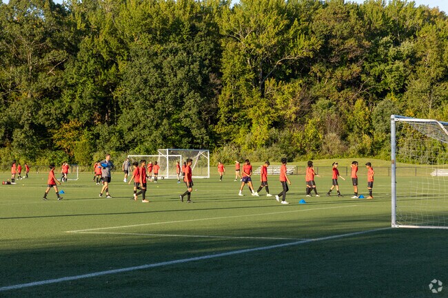 Youth soccer energizes Township fields on weekend mornings.