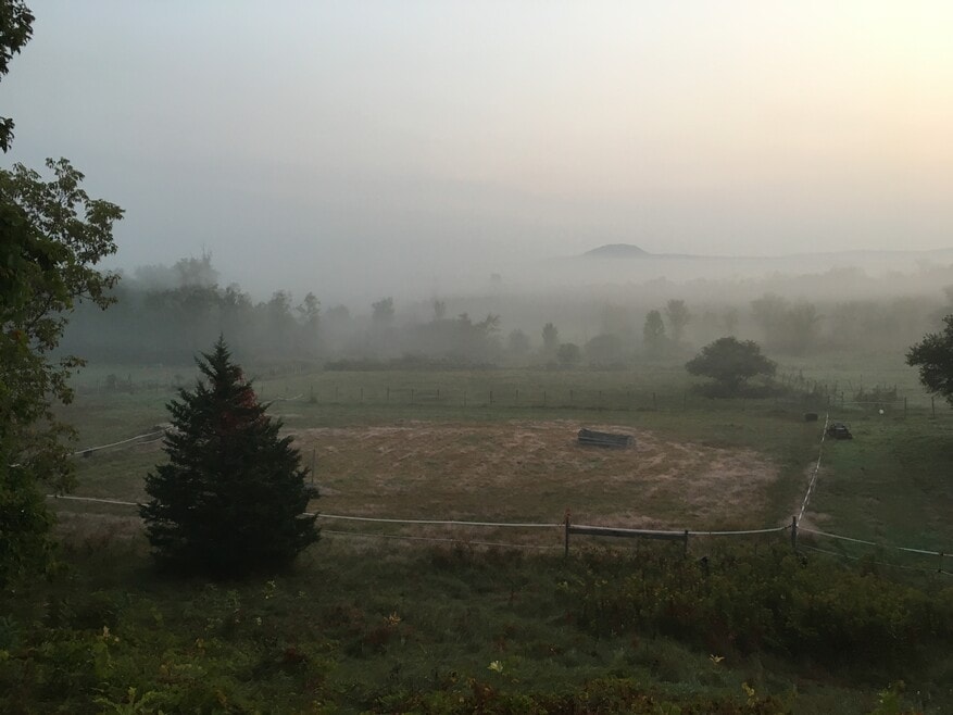 The Equestrian Center Back