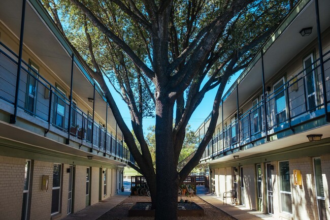 Tree-shaded courtyard