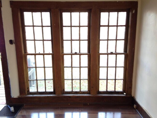North - facing windows
