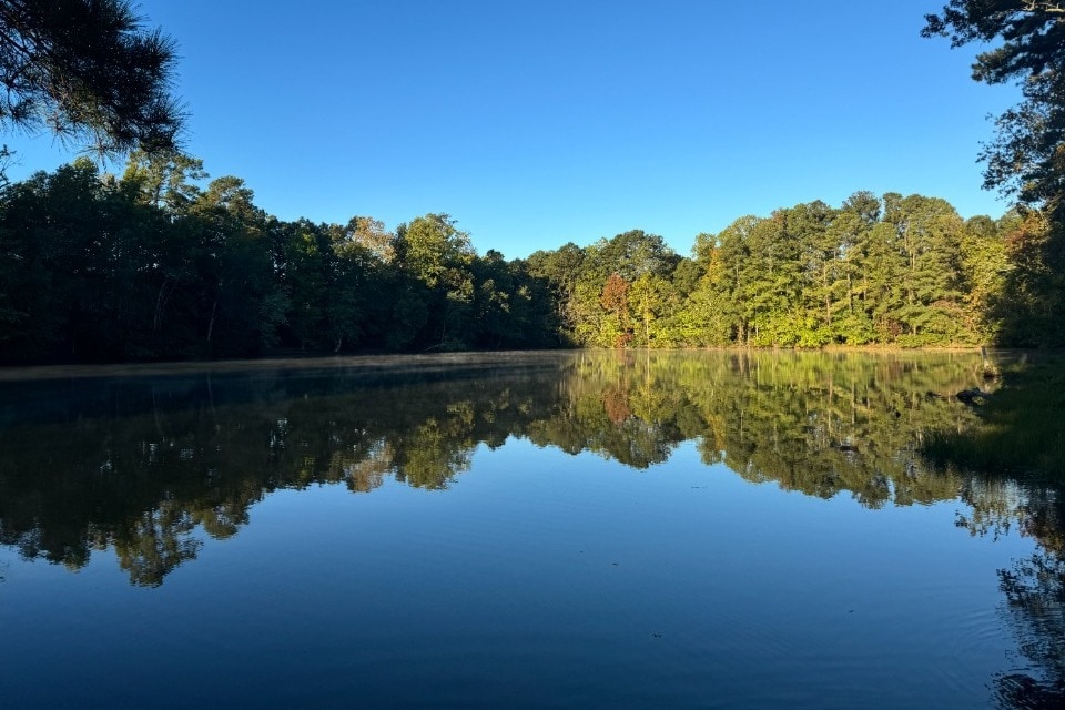 The Residences at Arbor Lake, a 55+ Community, Auburn, AL 36830 - photo 1