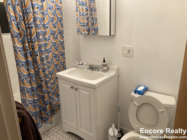 111 Norway St unit 311, Boston, MA 02115 - photo 2