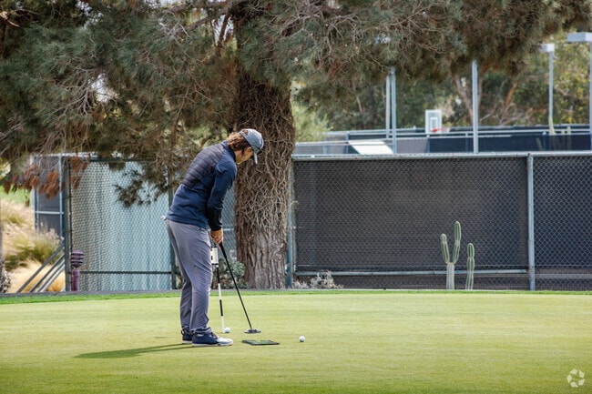 Practice your short game at Desert Princess Country Club near Vista Norte.