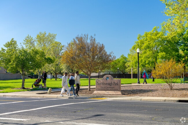 The communities surrounding Northborough Park love to walk dogs and take strolls through the peaceful streets.