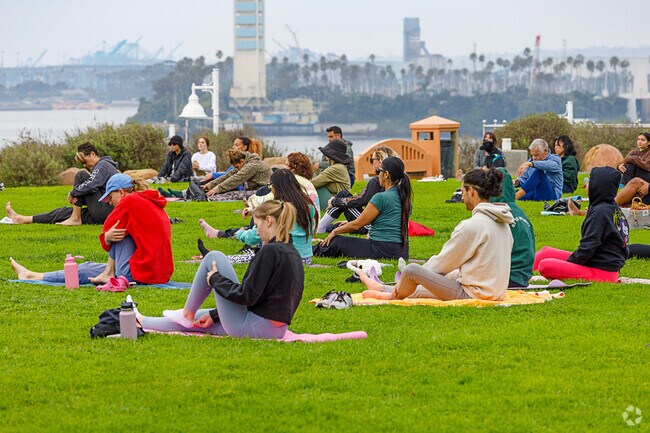 On the bluffs in Bixby Park every day at 11am you can take a yoga session in Long Beach.