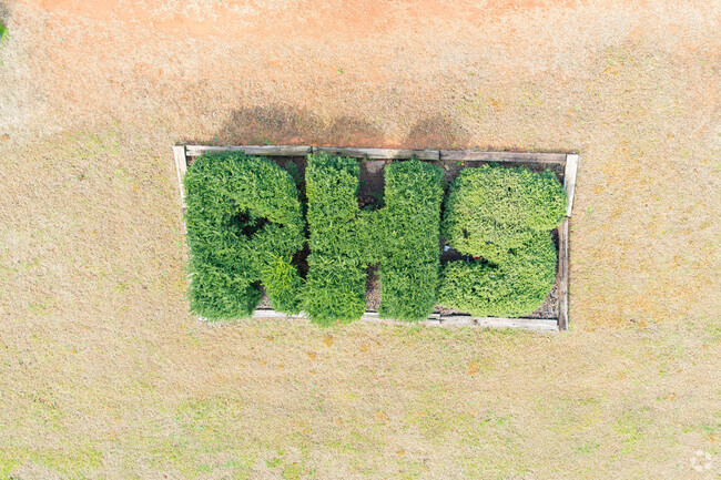 Randleman High School bushes.