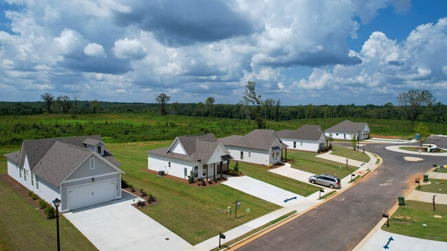 Camellia Drone-6.jpg