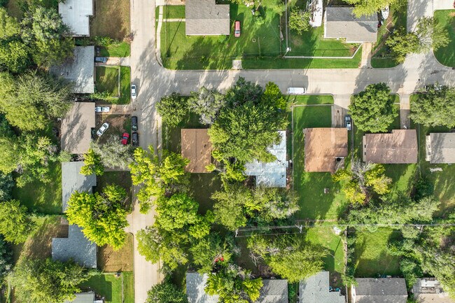 Lush trees line the streets of Chamberlain neighborhood.