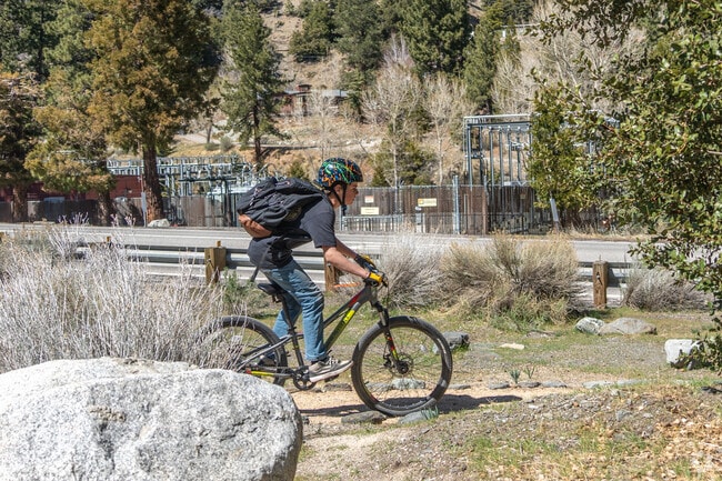 The Wrightwood Trail provides a challenging and rewarding mountain biking experience with stunning views.
