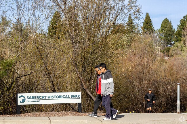 Sabercat Creek Trail is a 1.8-mile out-and-back trail located in Mission San Jose.
