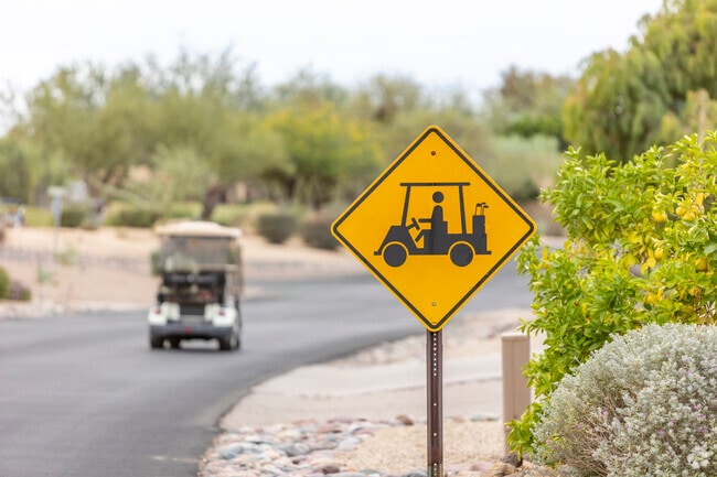 Residents of Rio Verde choose to get around in golf carts.
