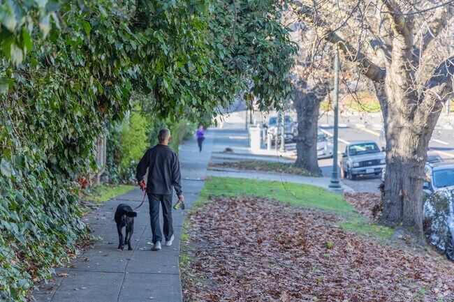 Trestle Glen is a dog friendly neighborhood.