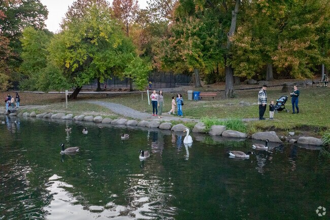 Lincoln Park families sit by the water and enjoy wildlife at Tibbetts Brook Park in Park Hill.