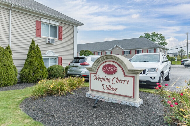 Weeping Cherry Village, Broadview Heights, OH 44147 - photo 5