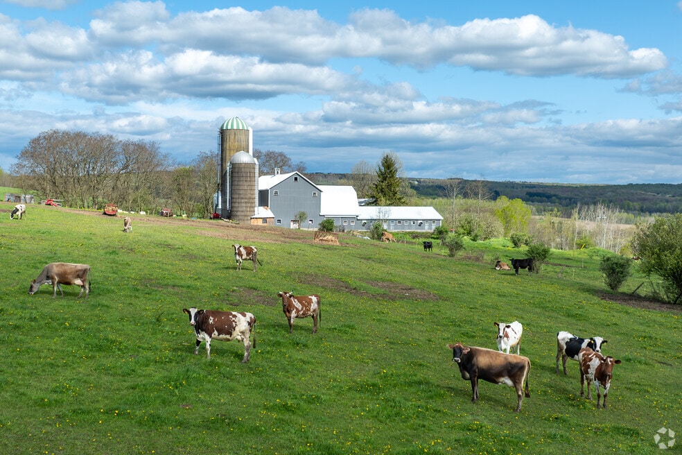 NH_Ellington_ 559507_p2_v1_al_051625