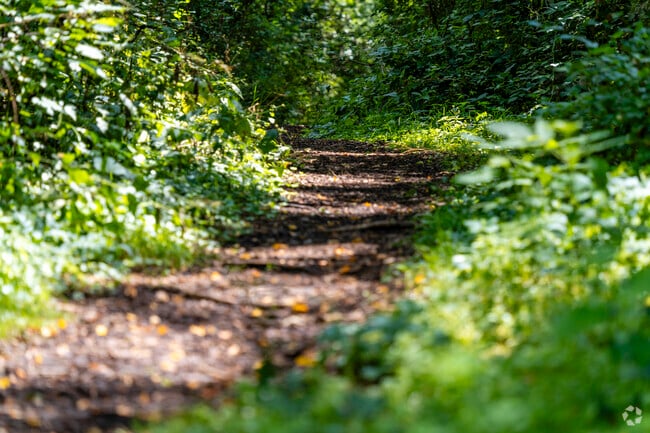 Residents of Hollywood Park enjoy brisk morning walks at Evergreen Park.