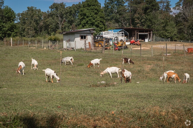 Many residents raise their own livestock in Hinkles.
