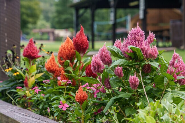 Summer celebrates one last colorful spectacle at Hopewell Park in Hopewell Township.