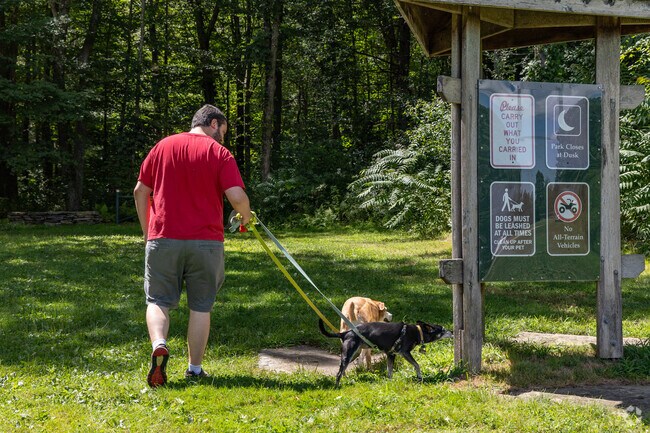 Pups love walking the trails thour Maple Farms in Bozrah.