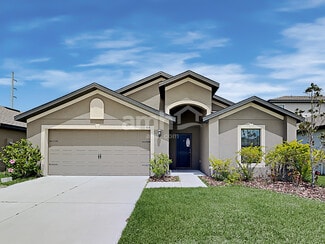 816 Chatham Walk Dr, Ruskin, FL 33570