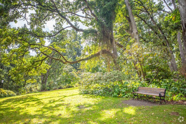The Rhododendron Garden In the Fairmount Neighborhood in Eugene, OR.