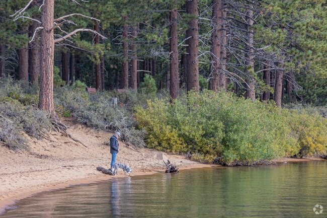 A gentleman enjoys the afternoon with his dog by the beach in Kingsbury.
