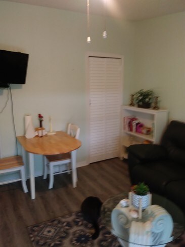 8001 Formby St unit 2, Riverview, FL 33578 - photo 3