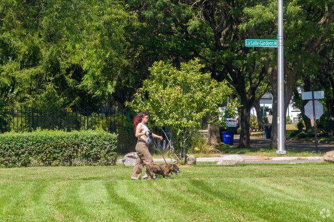Dogs enjoy the open green spaces of LaSalle Park.