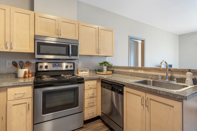 Stainless Steel Appliances