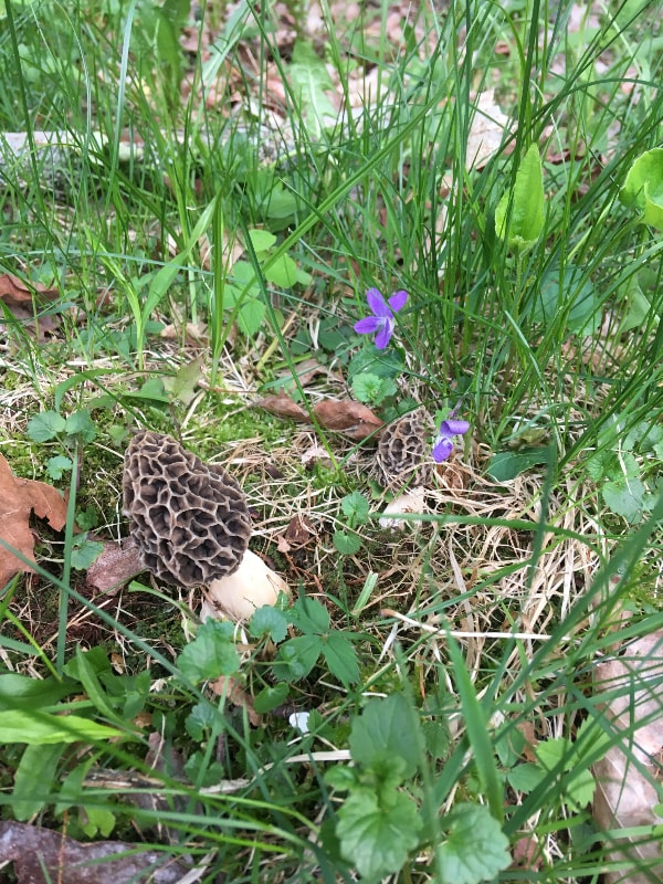 56 London Rd, Westmoreland, NH 03467