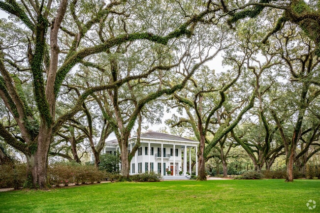 Beautiful Oak Trees at the Bragg-Mitchell Mansion can be seen in Midtown Mobile, AL.