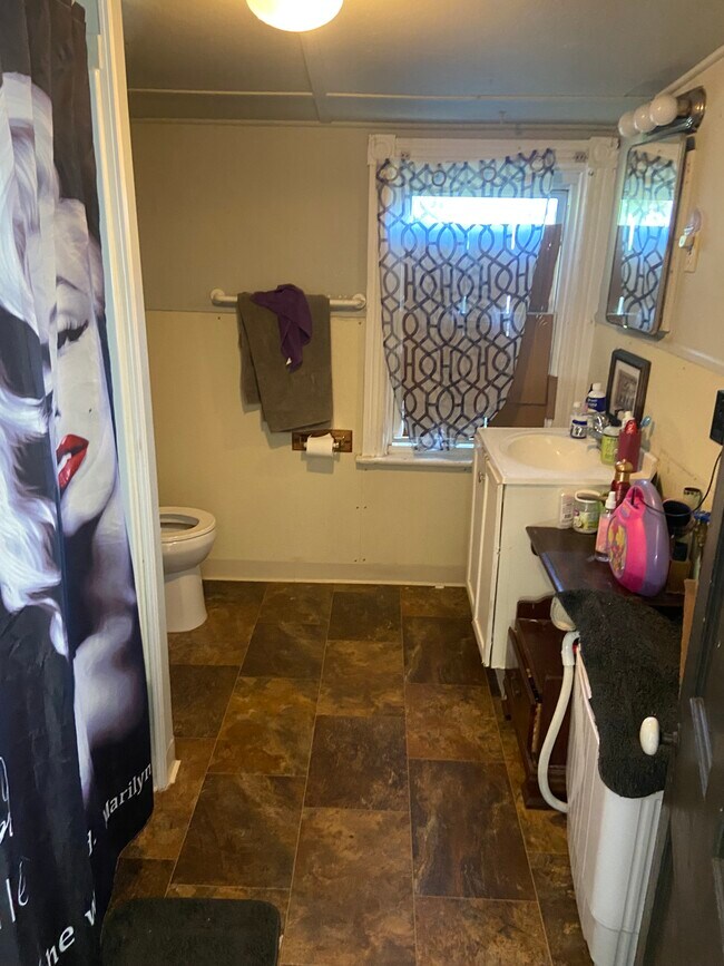 112 Webster Ave unit 112 Webster Avenue 2, Downingtown, PA 19335 - photo 4