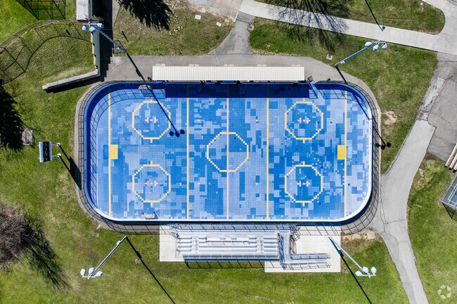 Brookline Memorial Park has a sky shot of the camo-style hockey course in Brookline, PA.