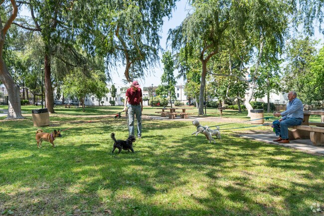 Carr Park in Glendale is the perfect place for dog gatherings.