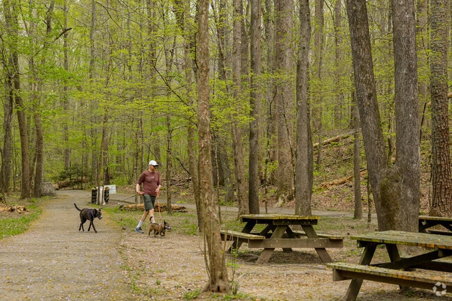 Cascade Springs Nature Preserve is a great place to get out with the dogs in nature.