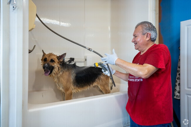Northwest Puppies is a dog grooming and boarding establishment serving the community of Citrus.