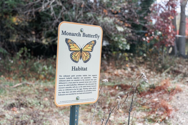 Northfield Elementary is registered with the Howard County government as a Monarch habitat.