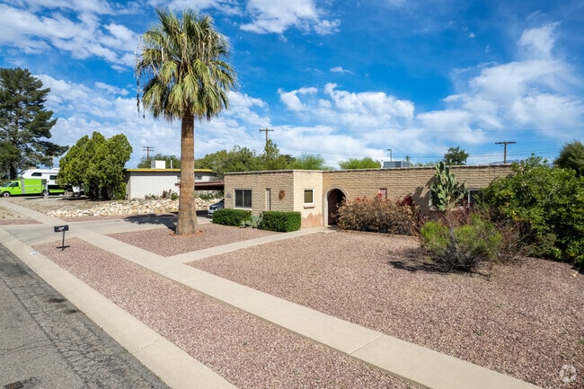 Gravel yards with palm trees and cactus are common in Dietz and offer low maintenance.