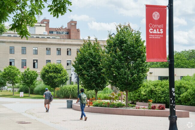 Just up the hill from Downtown Ithaca is Cornell with its expanding student population.