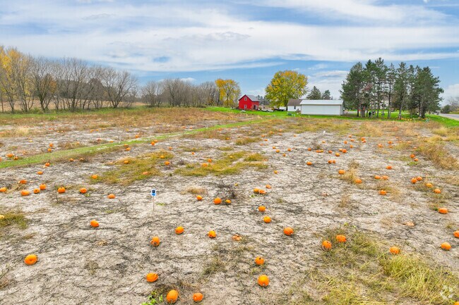 The Black Cat Pumpkin Patch gives Hammond residents a seasonal opportunity to pick pumpkins.