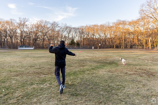 The Auburndale Park is a great place to play fetch with your dog or walk through the woods.