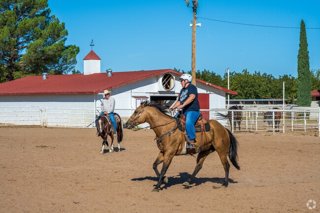 Ranchers use their horses for farming and sometimes use them to teach others to ride.