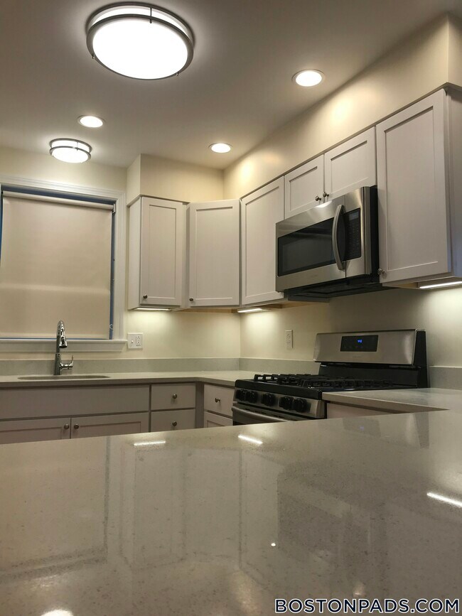 96 Waumbeck St, Boston, MA 02121 - photo 5