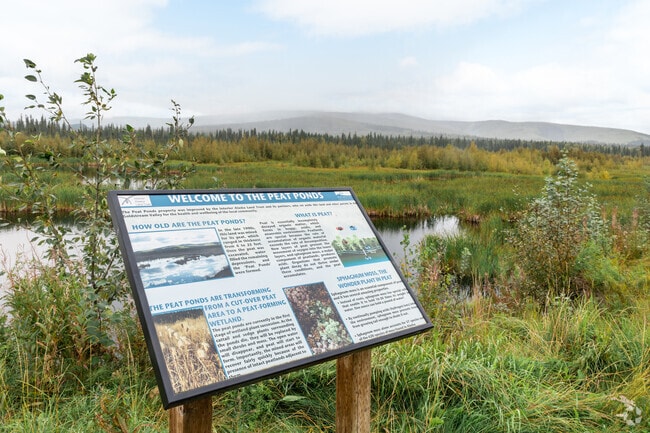 The best feature of Peat Ponds Wildlife Area in Fairbanks is the access to nature.