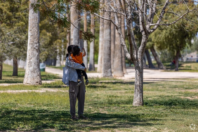 Families enjoy the large green space and shade at Himmel Park.
