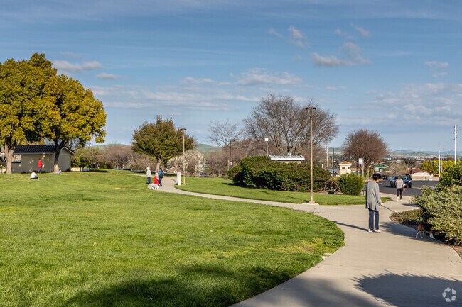 The large grassy fields at Shannon Park gives your whole family hours of playtime.