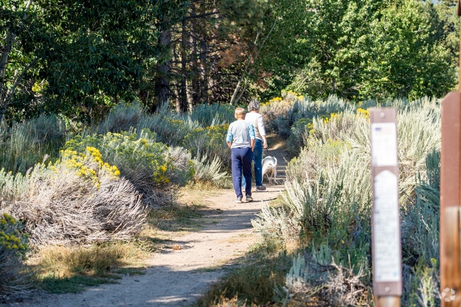Montreux runs in parallel with Galena Creek, an enchanting area to go hiking for all ages.