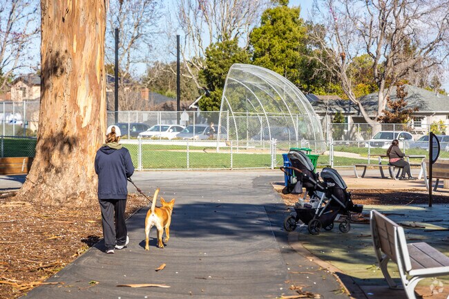 Ray Park near Burlingame Hills is popular with dog-lovers.